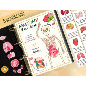 Human Anatomy Busy Book